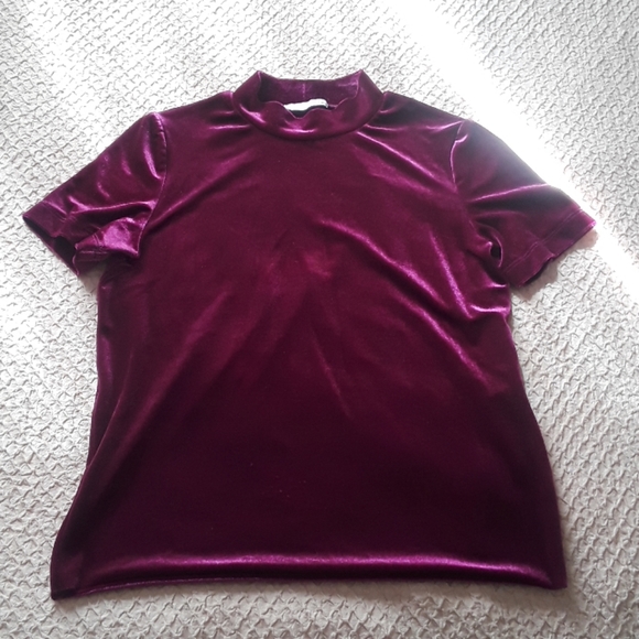 Zara Tops - Velvet purple mock neck short sleeve top